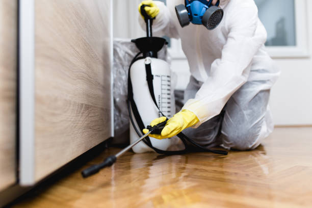 Best Wasp Removal Services  in Bonner West Riverside, MT