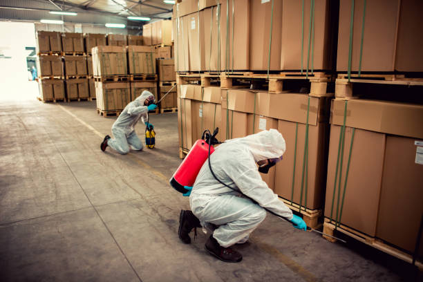 Best Flea Control Services  in Bonner West Riverside, MT