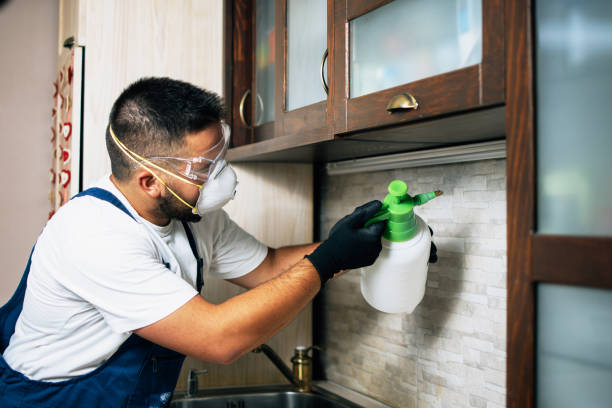 Best Bed Bug Extermination  in Bonner West Riverside, MT