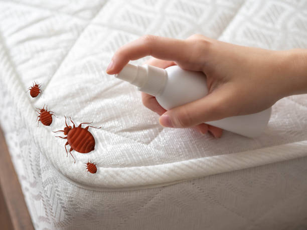 Professional Pest Control in Bonner West Riverside, MT