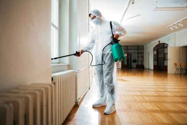 Best Mosquito Control Services  in Bonner West Riverside, MT