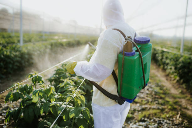 Best Affordable Pest Control Services  in Bonner West Riverside, MT
